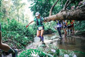 BIB: 
                            <button type="button" onclick="openModal(25459689)" class="btn btn-primary btn-sm float-right btn-popup" data-toggle="modal" data-target=".modal-high-quality">
                        <i class="fas fa-shopping-cart"></i> Add to Cart
                    </button>
                                            <button type="button" onclick="isThisMe(25459689, true)" class="btn btn-success btn-sm float-right btn-popup btn-isme hidden" data-toggle="tooltip" data-placement="bottom" title="นี่คือรูปของคุณใช่ไหม คลิกที่นี่เพื่อเอาเข้าอัลบั้ม">
                        <i class="fas fa-plus"></i> Add to album
                    </button>
                    <button type="button" onclick="isThisMe(25459689, false)" class="btn btn-warning btn-sm float-right btn-popup btn-isnotme hidden">
                        <i class="fas fa-ban"></i> Remove from album
                    </button>